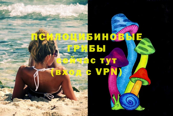 герыч Дмитров
